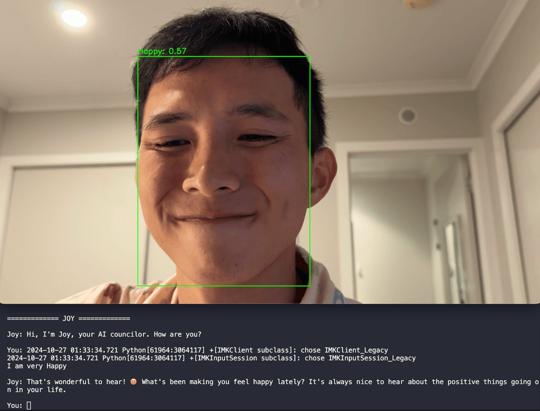 Minimal terminal interface with emotion recognition